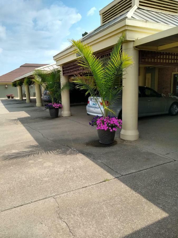 Southern Comfort Suites Mayfield Luaran gambar