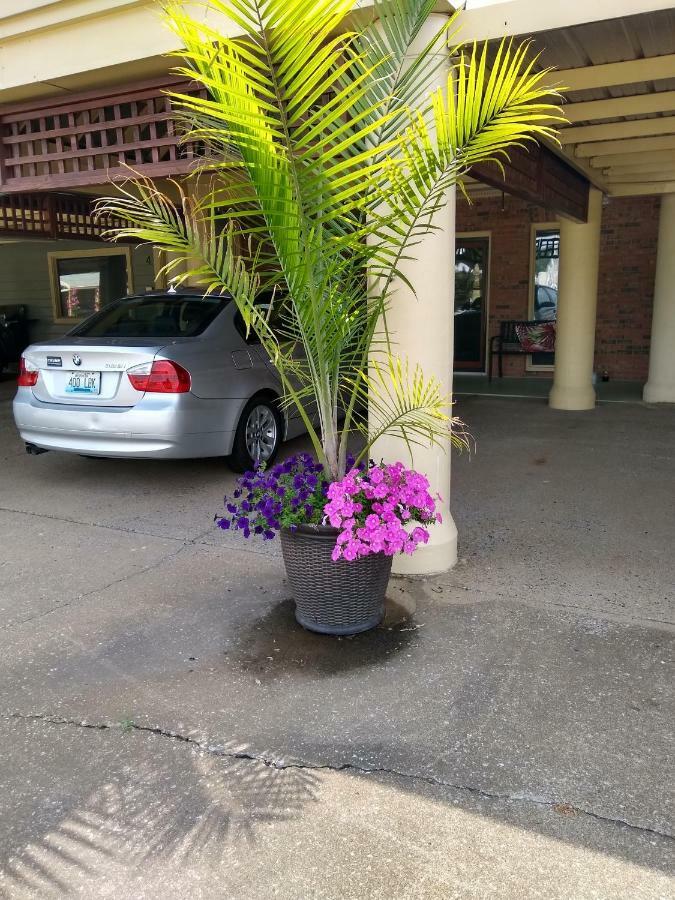 Southern Comfort Suites Mayfield Luaran gambar
